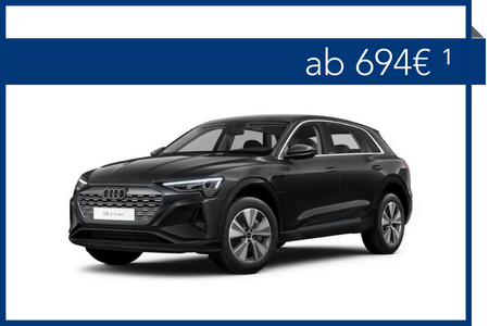 Audi Q8 Etron Inkl Rate Gewerbekunden