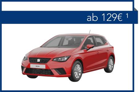 Seat Ibiza 1.0 Inkl. Rate Privat