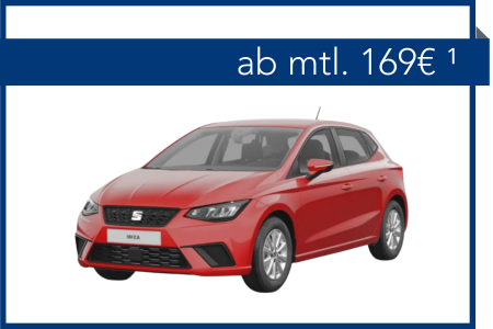 Seat Ibiza Style 1.0 Inkl. Rate Privat (1)